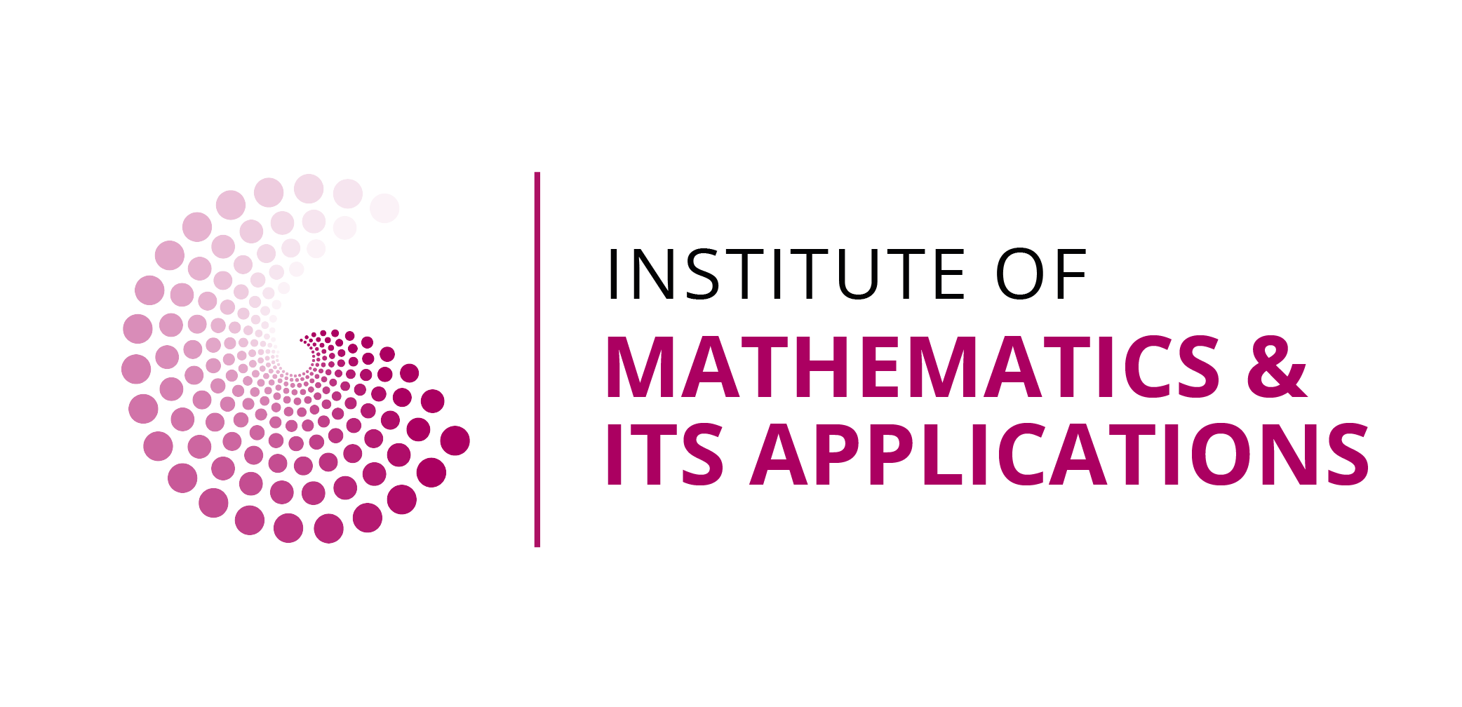 Institute of Mathematics and its Applications